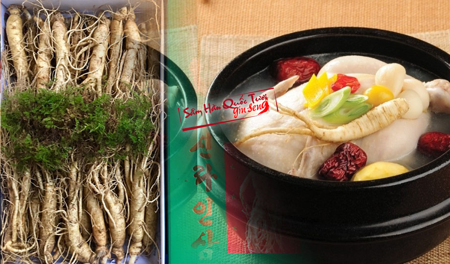 sâm hàn quốc hầm gà