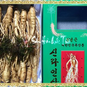 Sâm Tươi Hàn Quốc Loại ( Hầm Gà ) 20-30 Củ 1kg