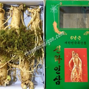 Sâm Tươi Hàn Quốc 5 Củ 1kg