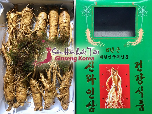 Địa chỉ mua sâm tươi Hàn Quốc TP HCM chính hãng giá tốt! ở đâu ?