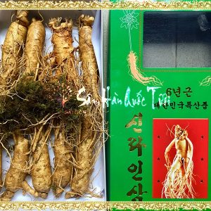 Sâm Tươi Hàn Quốc 10 Củ 1kg