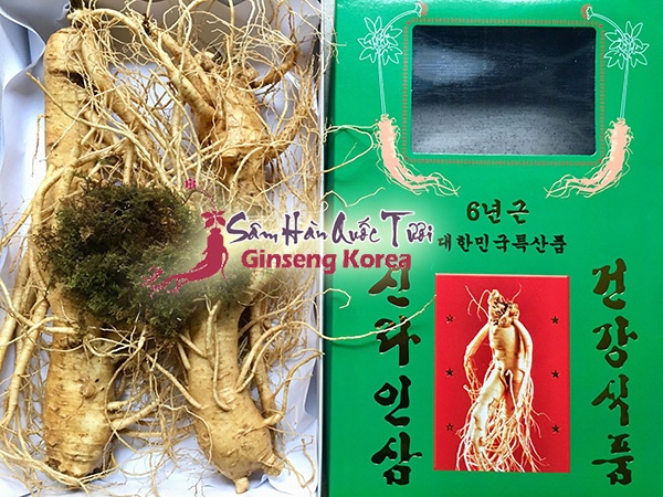 Địa chỉ mua sâm tươi Hàn Quốc TP HCM chính hãng giá tốt! ở đâu ?