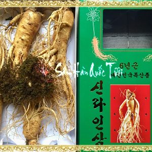 Sâm Tươi Hàn Quốc 4 Củ 1kg