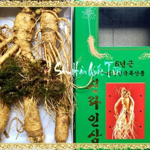 Sâm Tươi Hàn Quốc 6 Củ 1kg