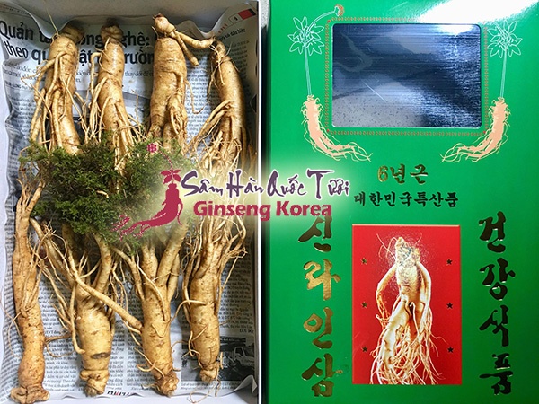 Địa chỉ mua sâm tươi Hàn Quốc TP HCM chính hãng giá tốt! ở đâu ?