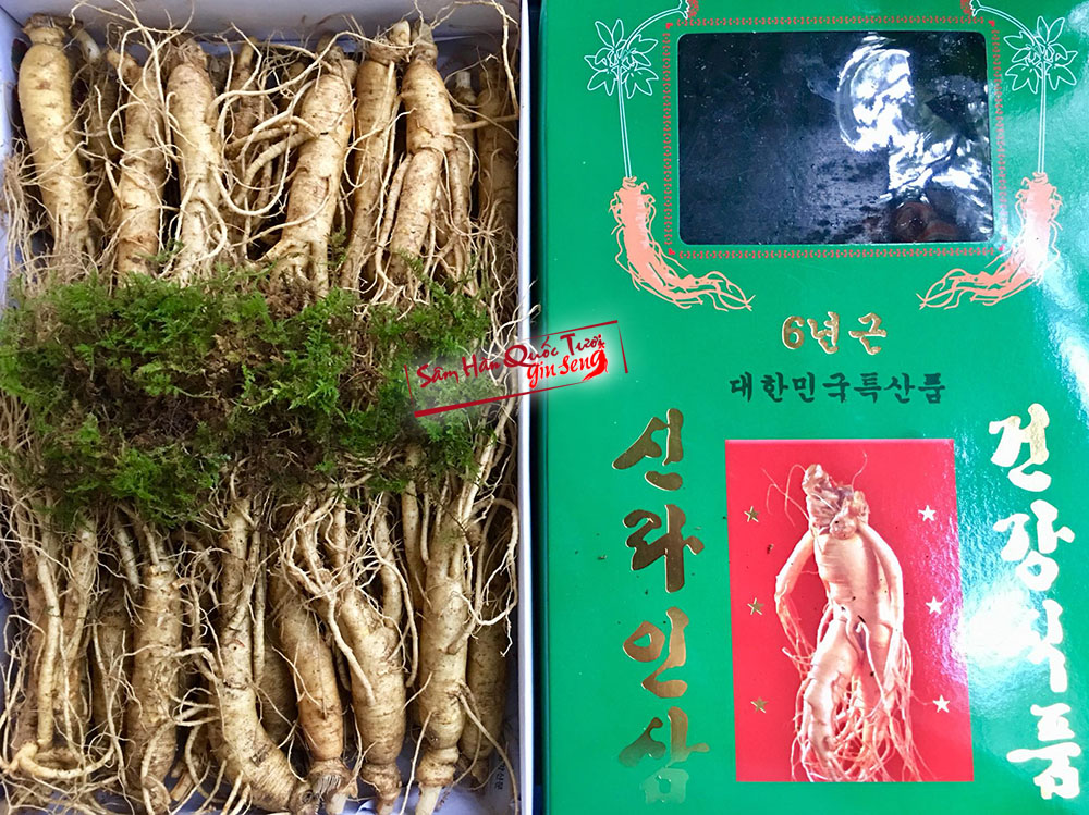 sâm hàn quốc hầm gà