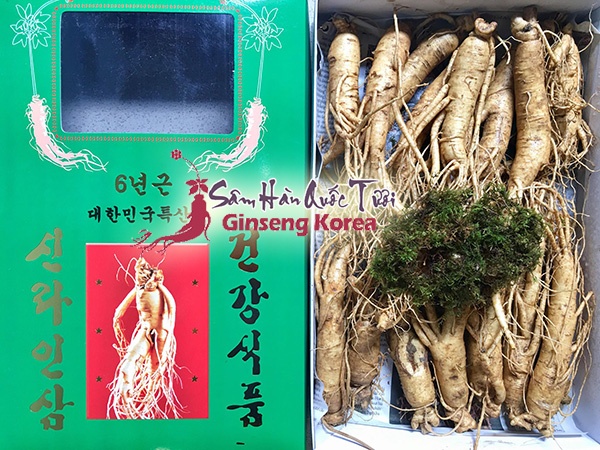 Sâm tươi Hàn Quốc loại hầm gà từ 20 - 30