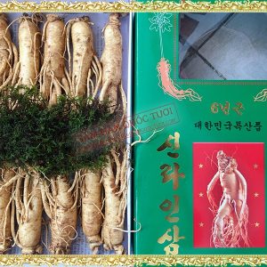 Sâm Tươi Hàn Quốc 12 Củ 1kg